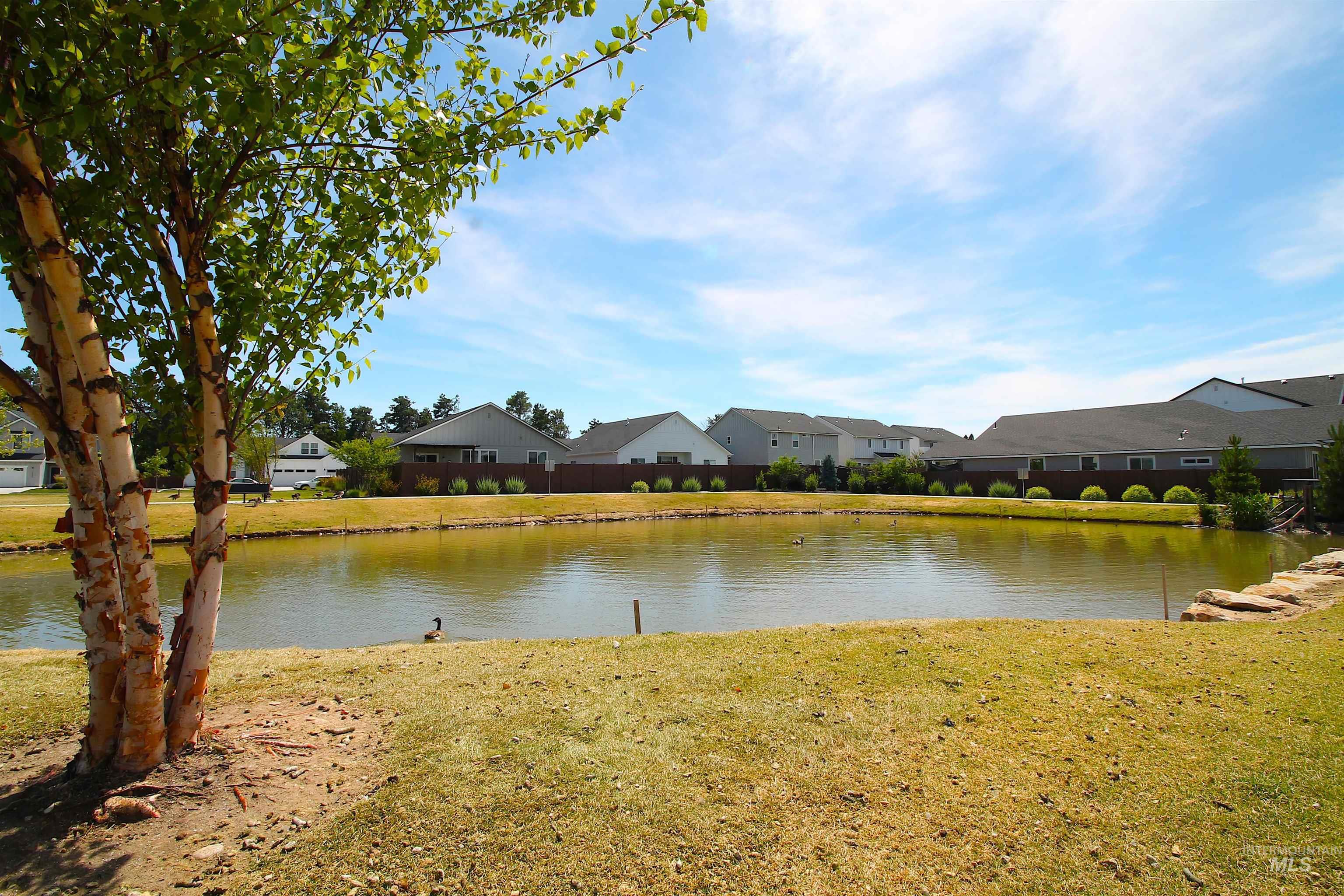 Expanse of green space featuring a natural pond