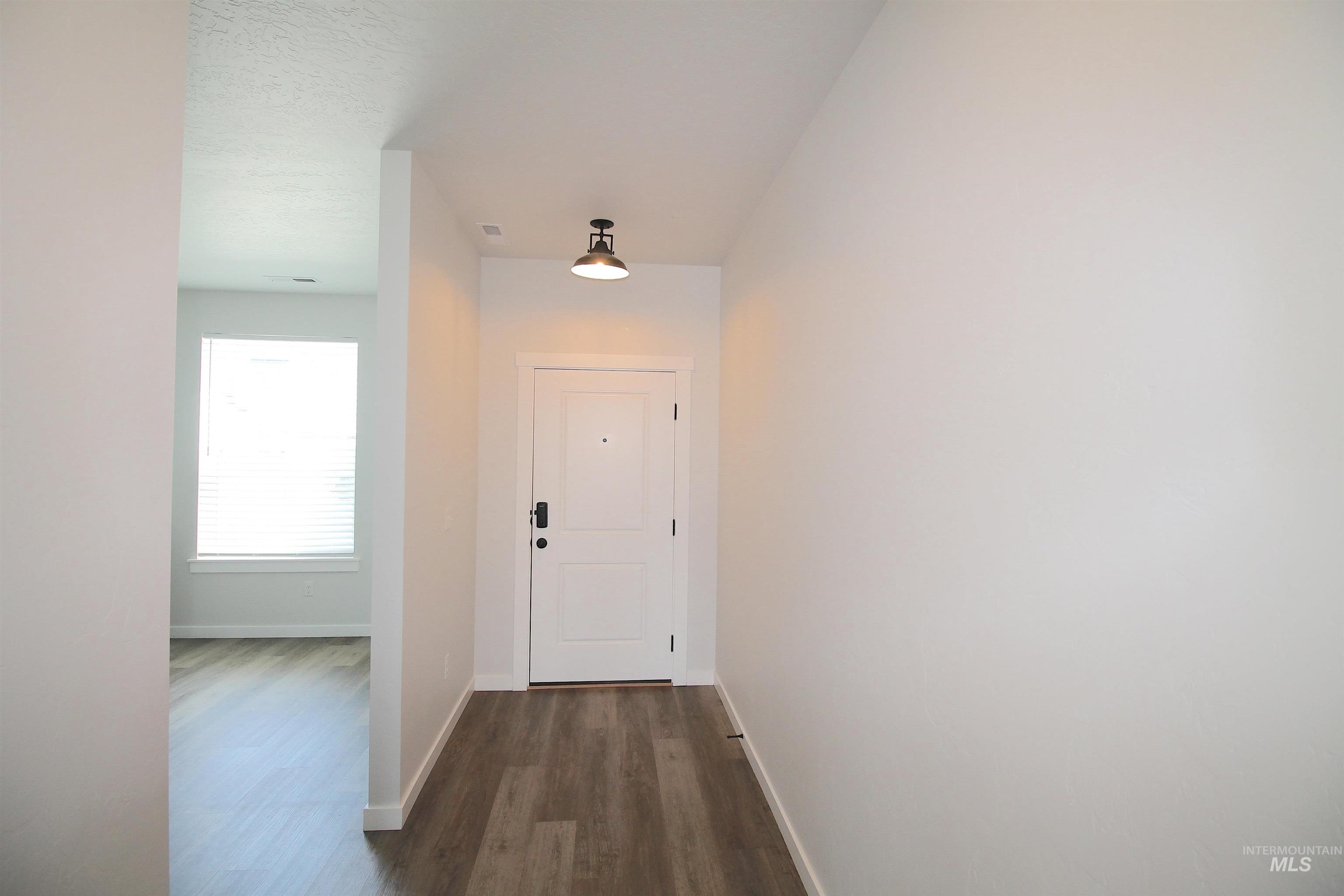 Entryway featuring wood-finish flooring, a white paneled door with dark hardware, and an industrial-style flush-mount light fixture