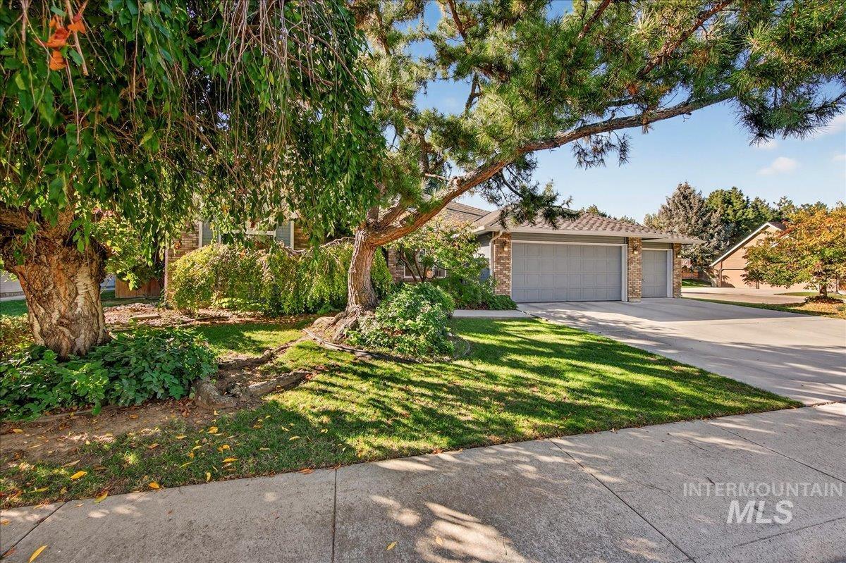 View of property hidden behind natural elements featuring brick siding, concrete driveway, a front lawn, and an attached garage