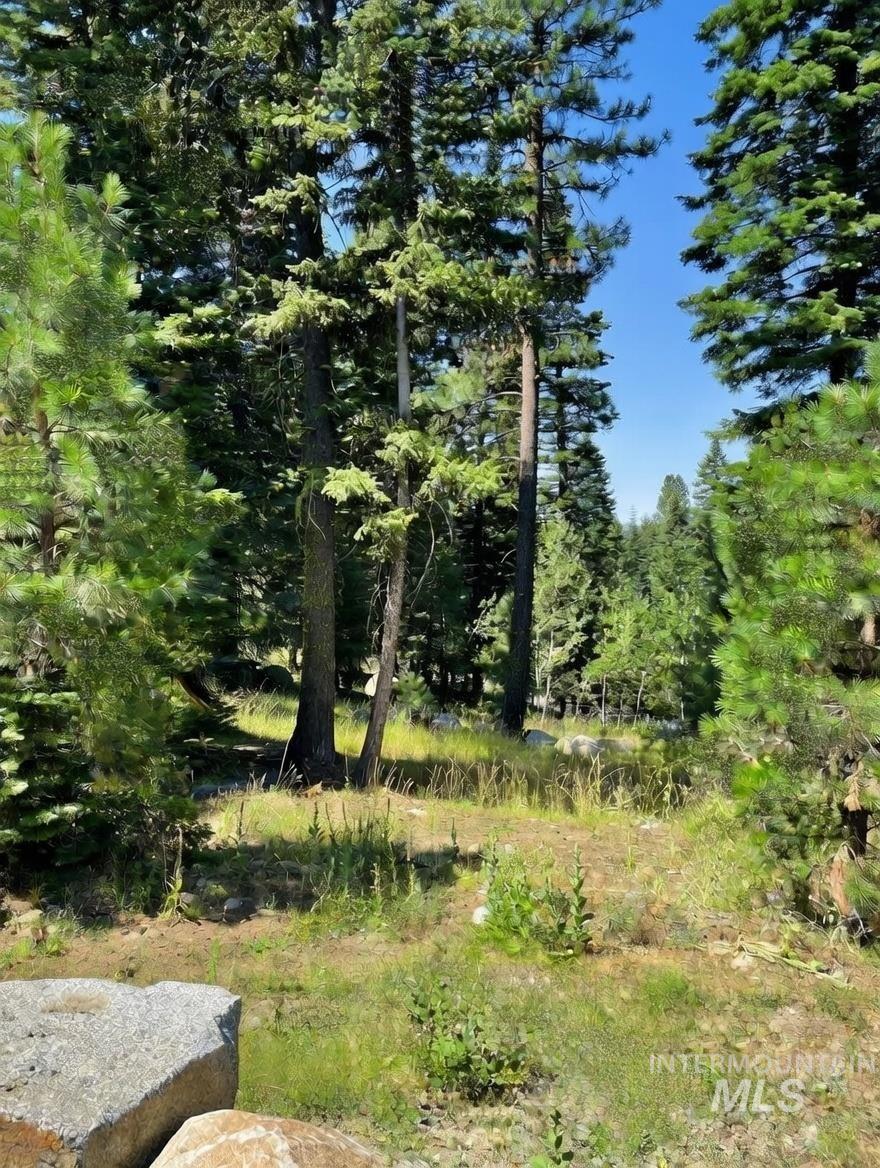 View of undeveloped land