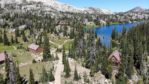 TBD Buffalo Hump Dixie ID 83525