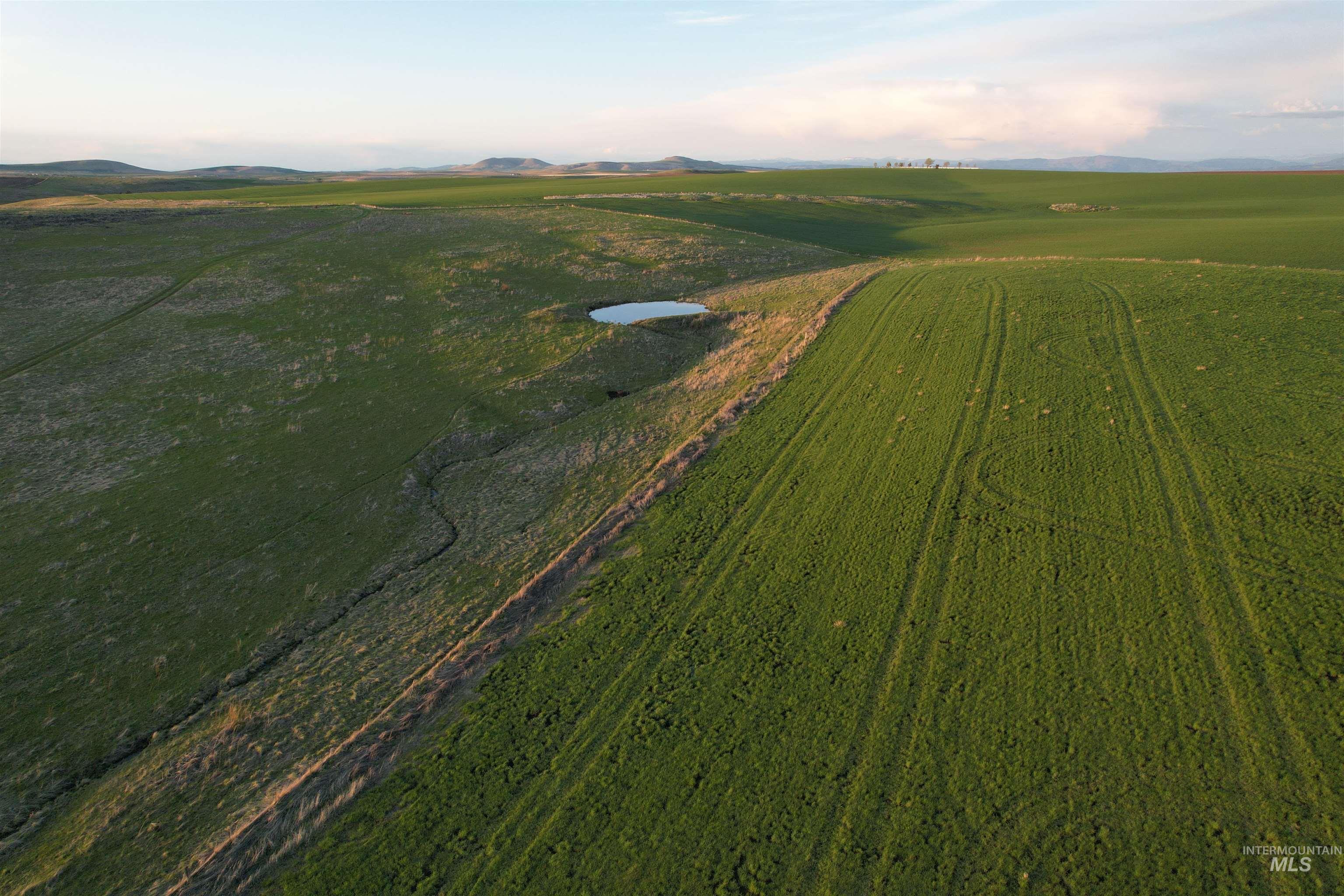 TBD Creek View Lane - Lot 4, Grangeville, Idaho image 8