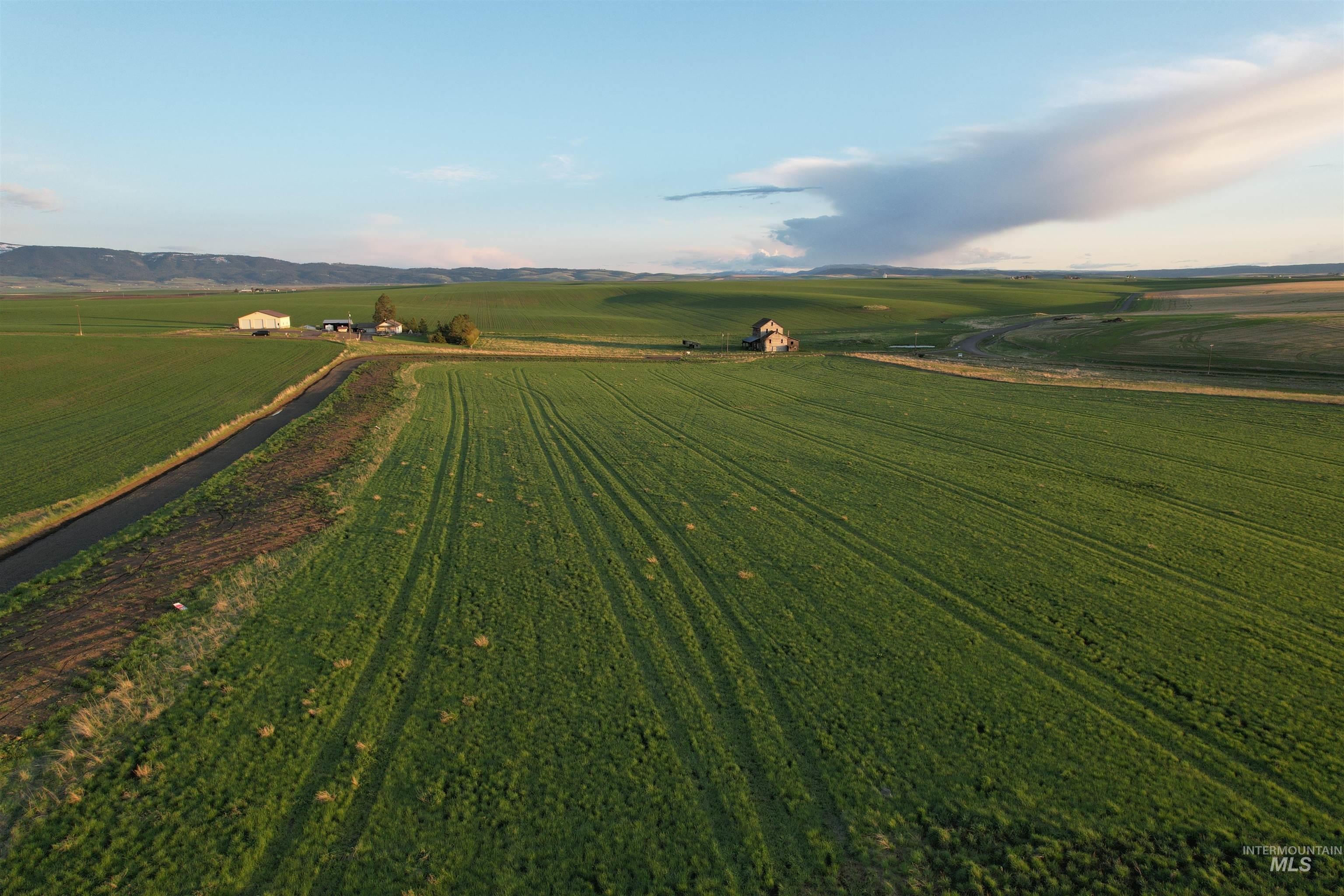 TBD Creek View Lane - Lot 4, Grangeville, Idaho image 6