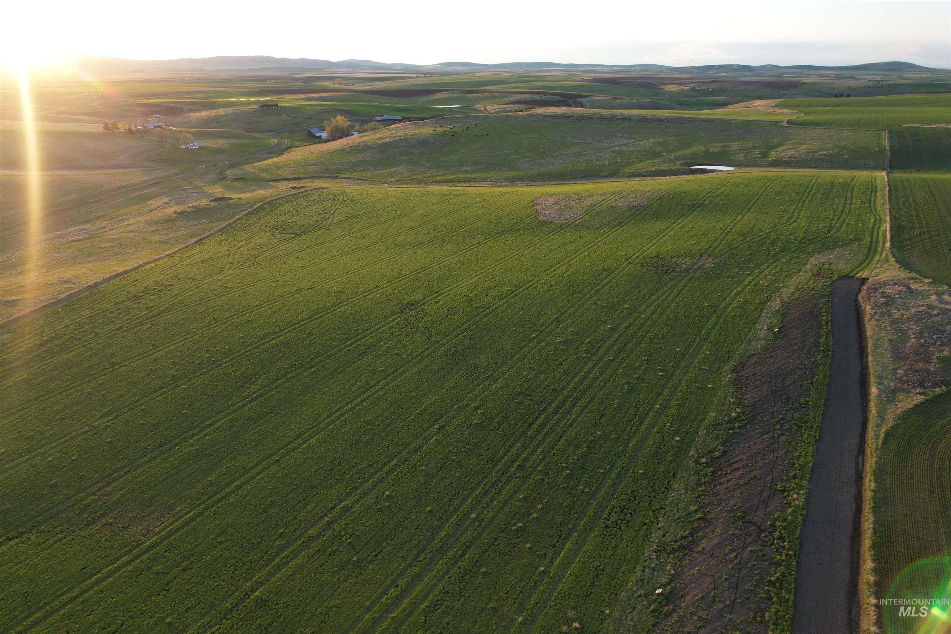 TBD Creek View Lane - Lot 4, Grangeville, Idaho image 5