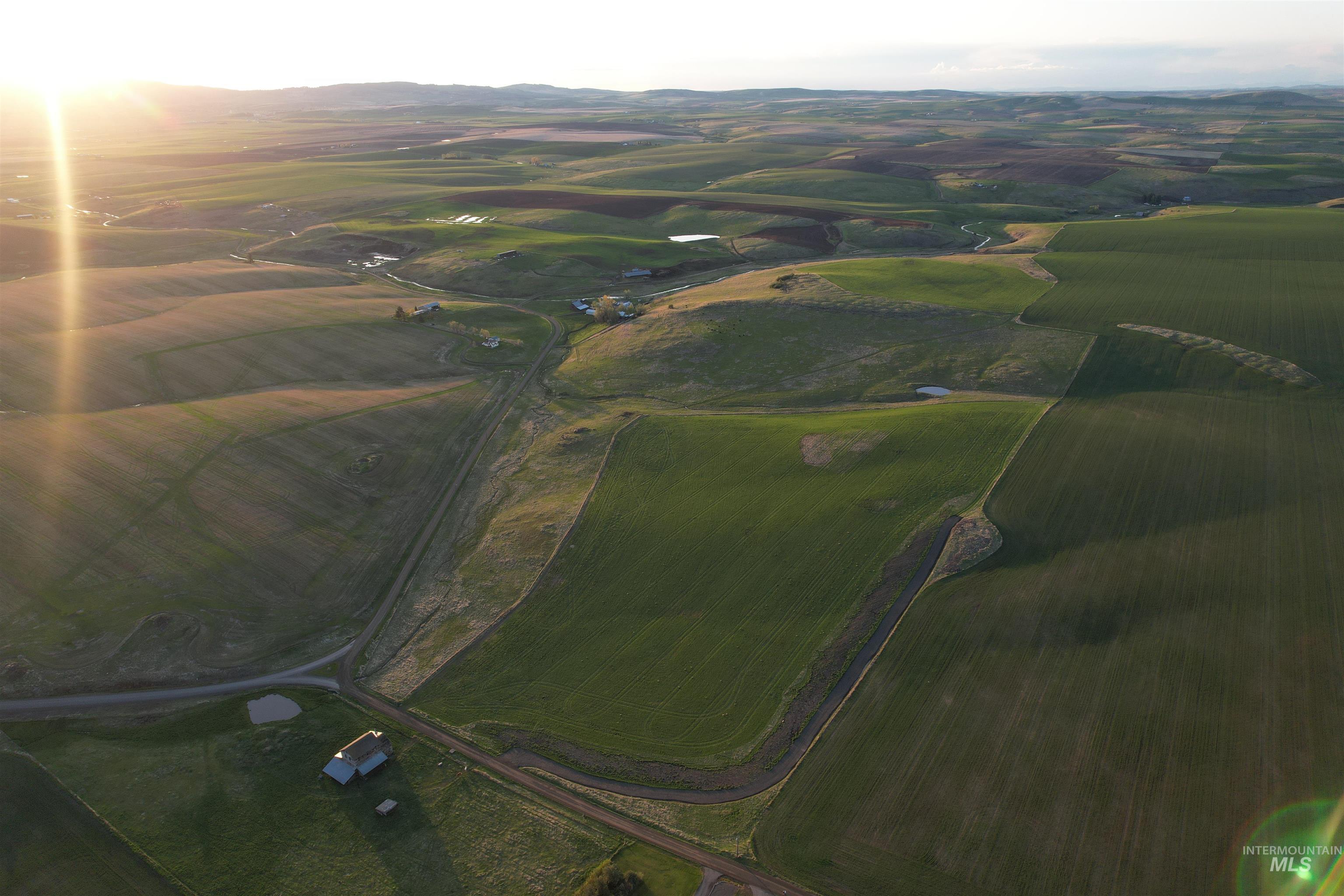 TBD Creek View Lane - Lot 4, Grangeville, Idaho image 1