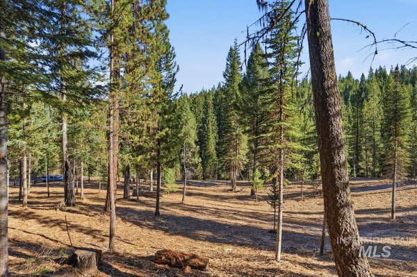 315 CLEAR CREEK RD, CASCADE, ID 83611 - Image c021e136ff1569d67cfa99cc0c9c496a/120137703