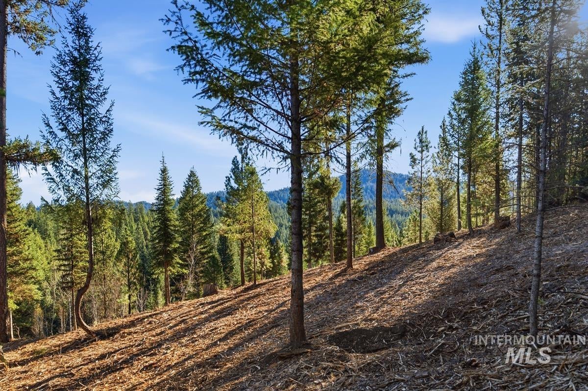 315 Clear Creek Road