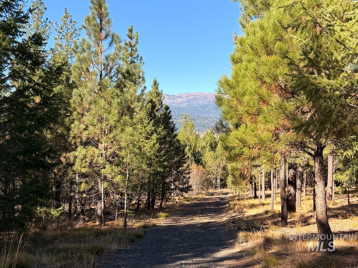315 Clear Creek Road
