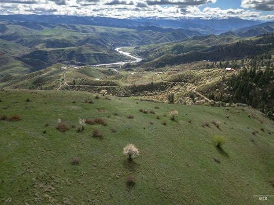TBD BLUE GROUSE ROAD, WHITE BIRD, ID 83554 - Image c04b0c00fa90c8f9a1654c05ed3bc8ac/3707494543