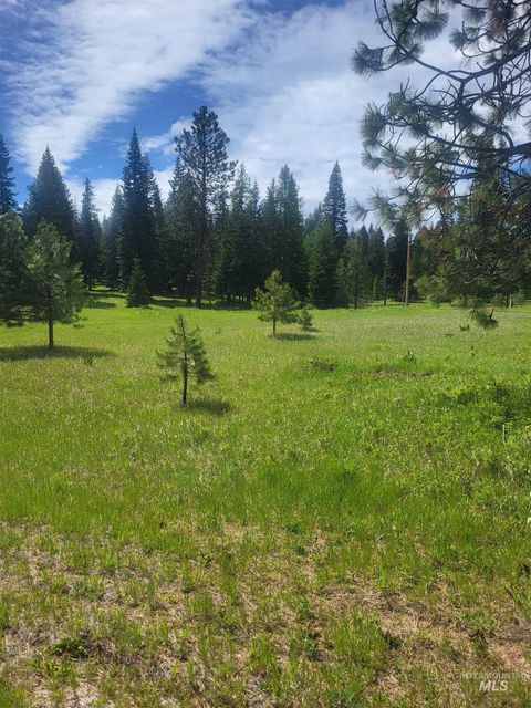 731 Heathman Road Anatone WA 99401