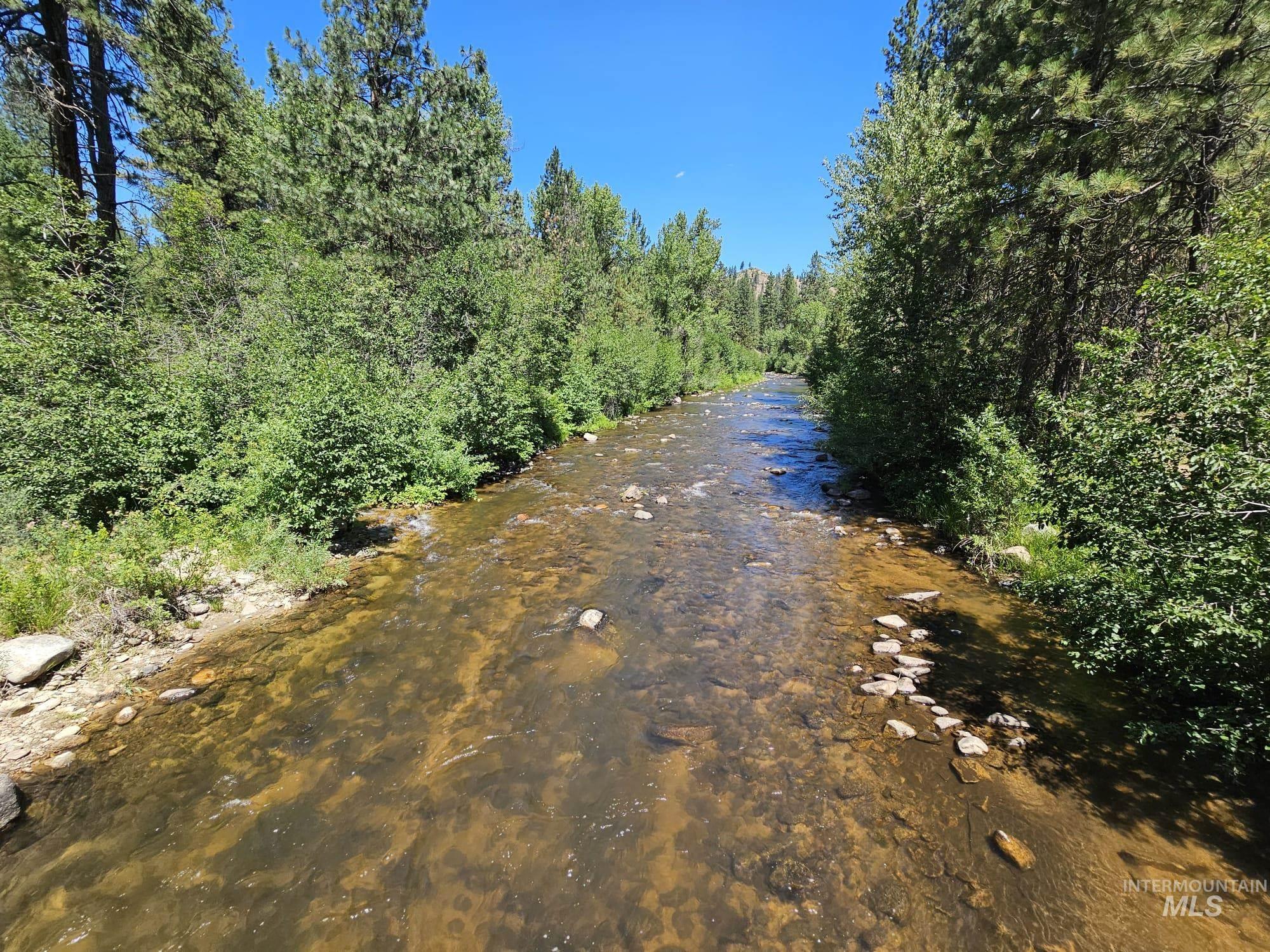 Water view with a forest