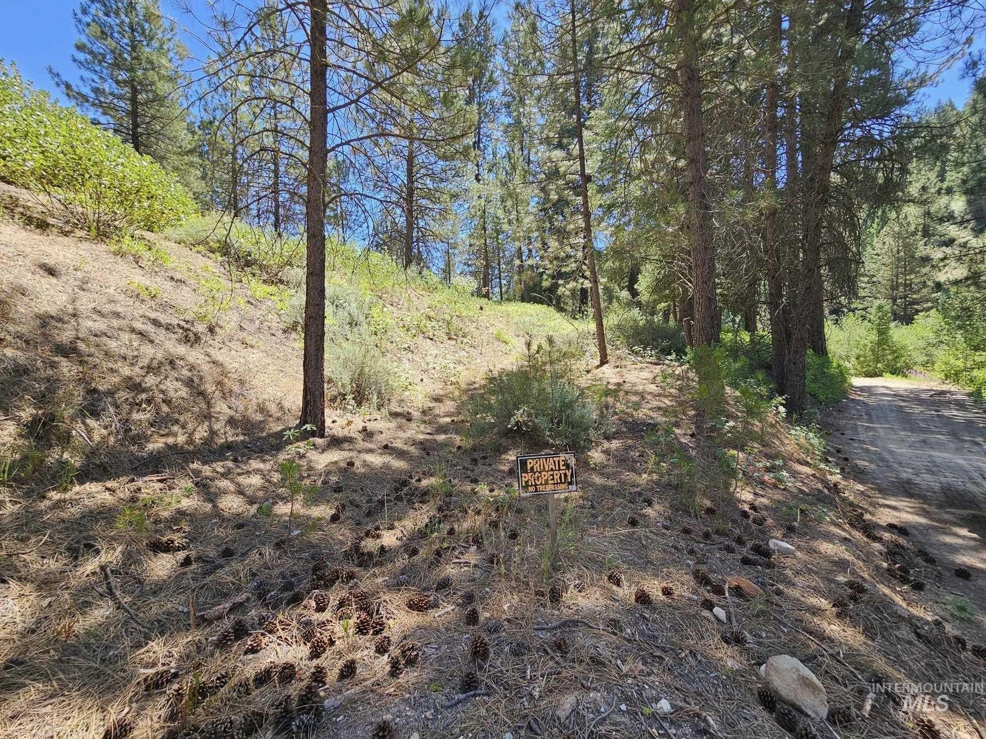 View of undeveloped land