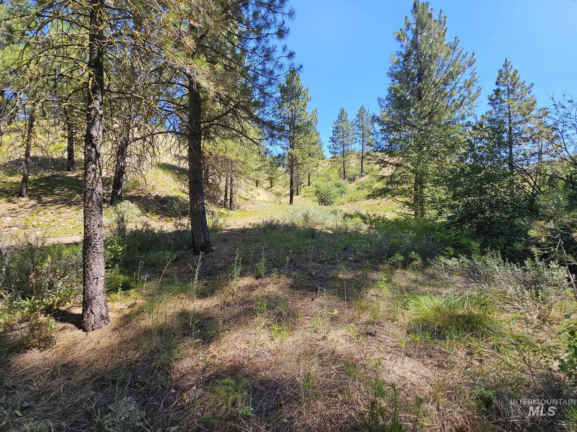 View of undeveloped land