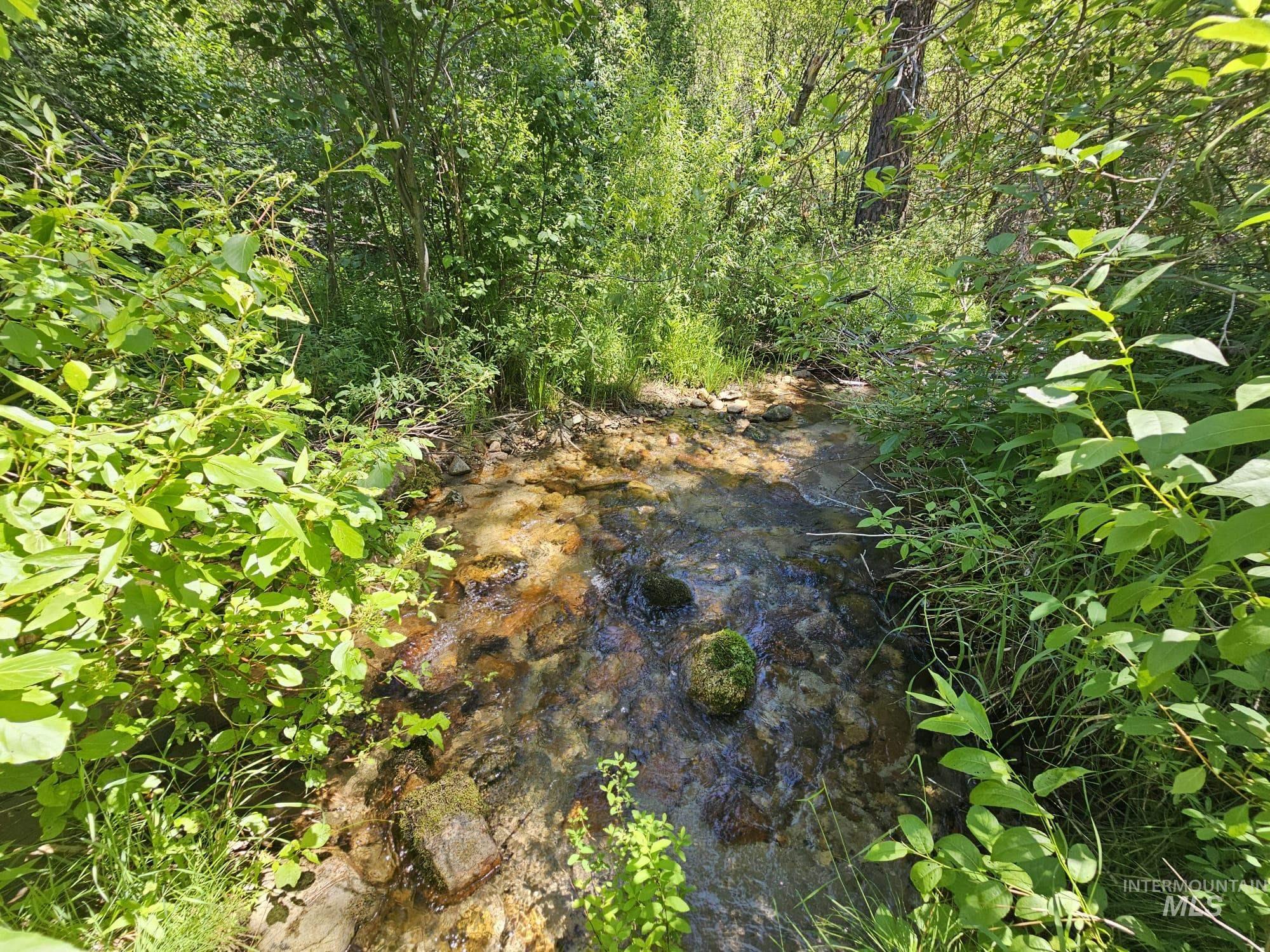 View of undeveloped land