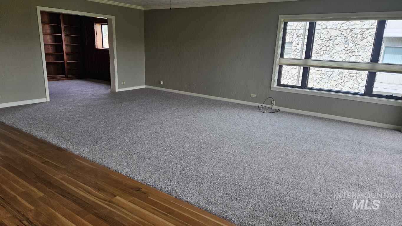 Empty room featuring crown molding and dark colored carpet