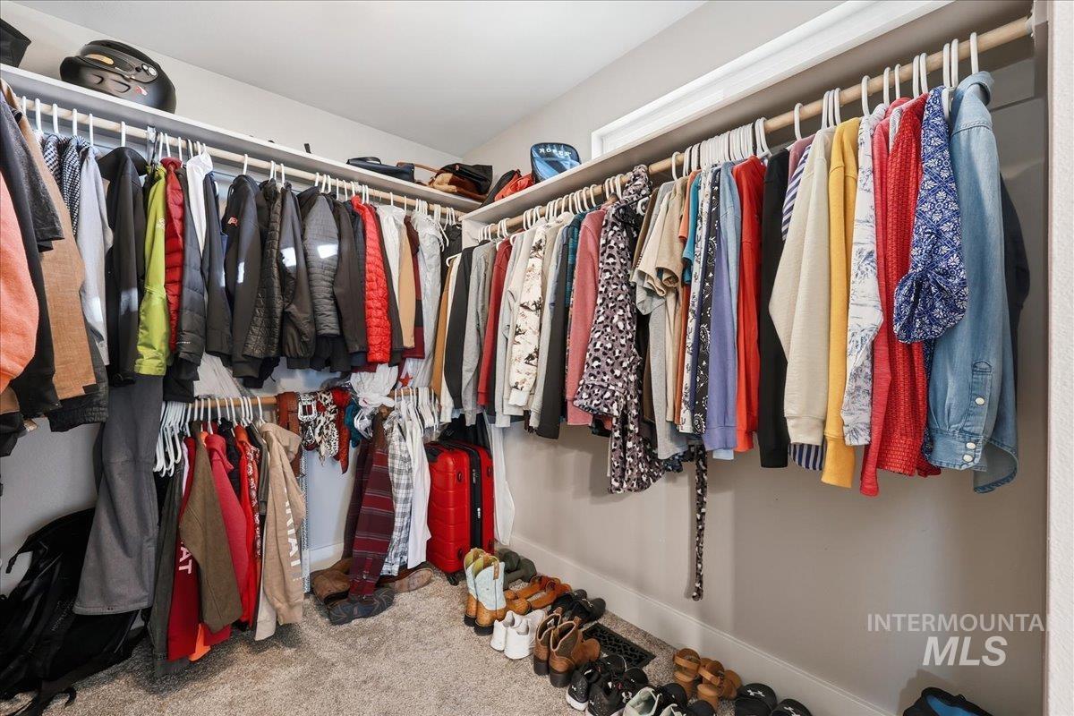 Spacious closet with carpet floors
