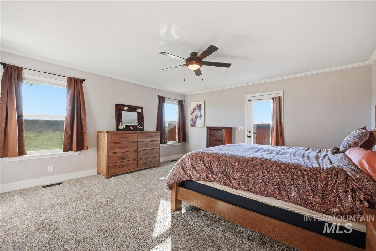 Carpeted bedroom featuring ornamental molding and ceiling fan