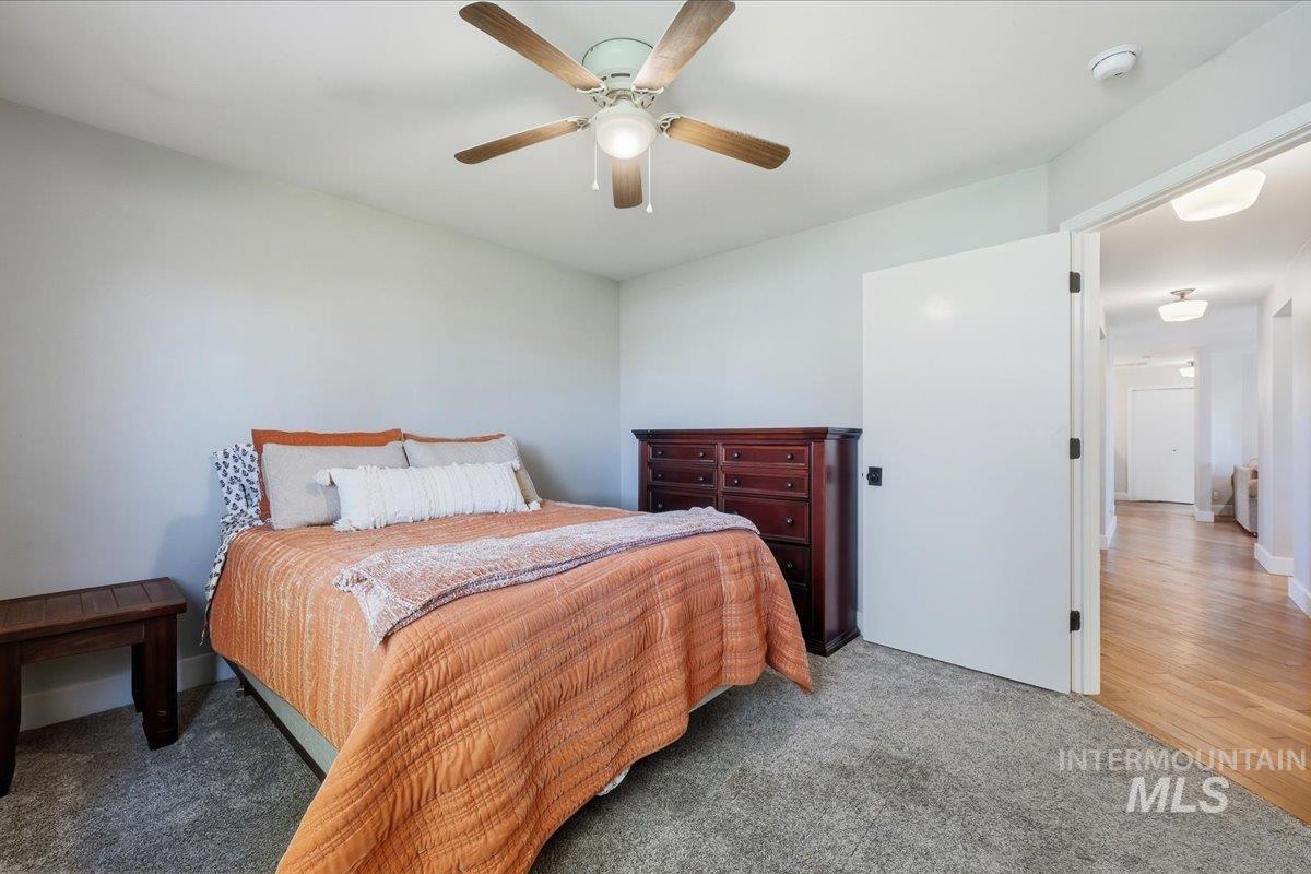 Carpeted bedroom with a ceiling fan