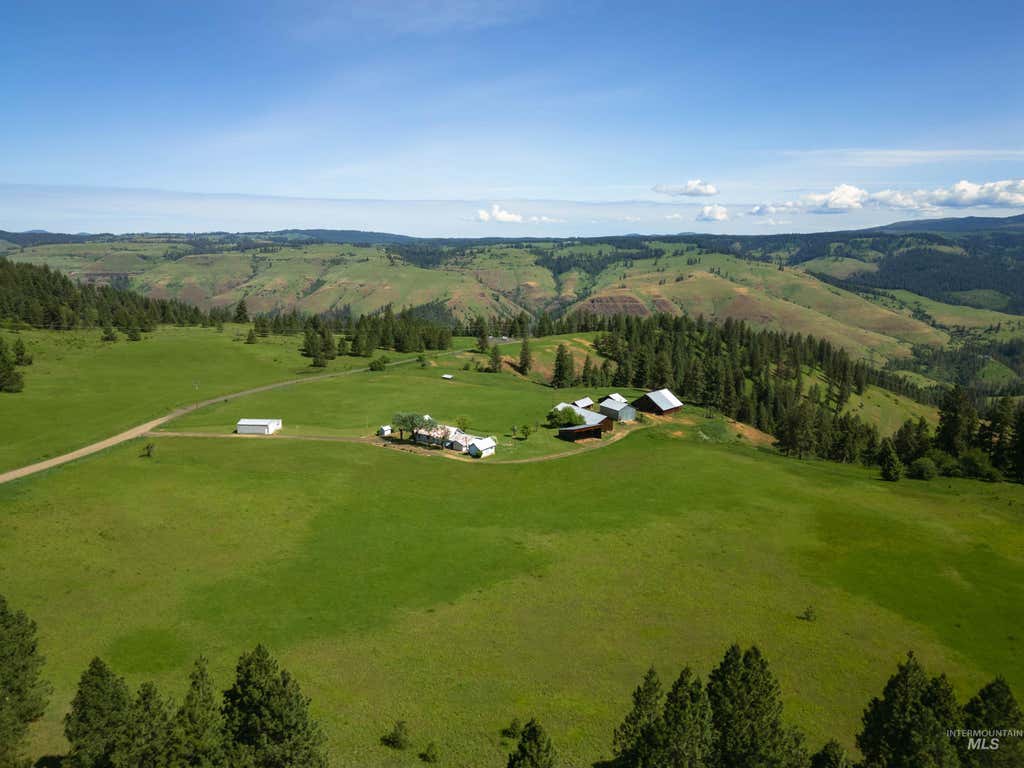 Photo of 216 Ulmer Road, Kooskia, ID 83539 (MLS # 98975037)