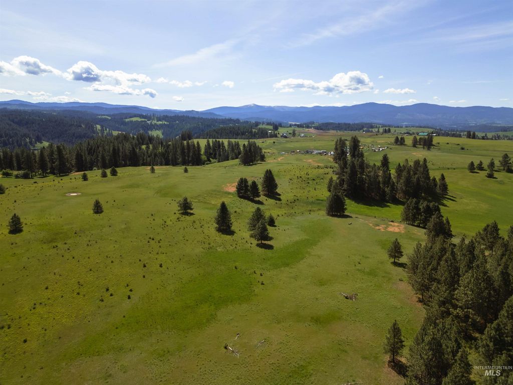 Photo of 216 Ulmer Road, Kooskia, ID 83539 (MLS # 98975037)