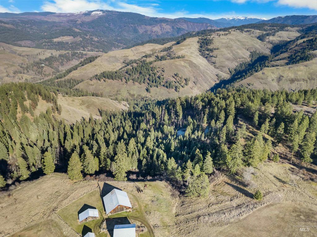 Photo of 216 Ulmer Road, Kooskia, ID 83539 (MLS # 98975037)