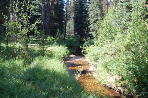 Photo of TBD Morell Road, McCall, ID 83638 (MLS # 98992150)