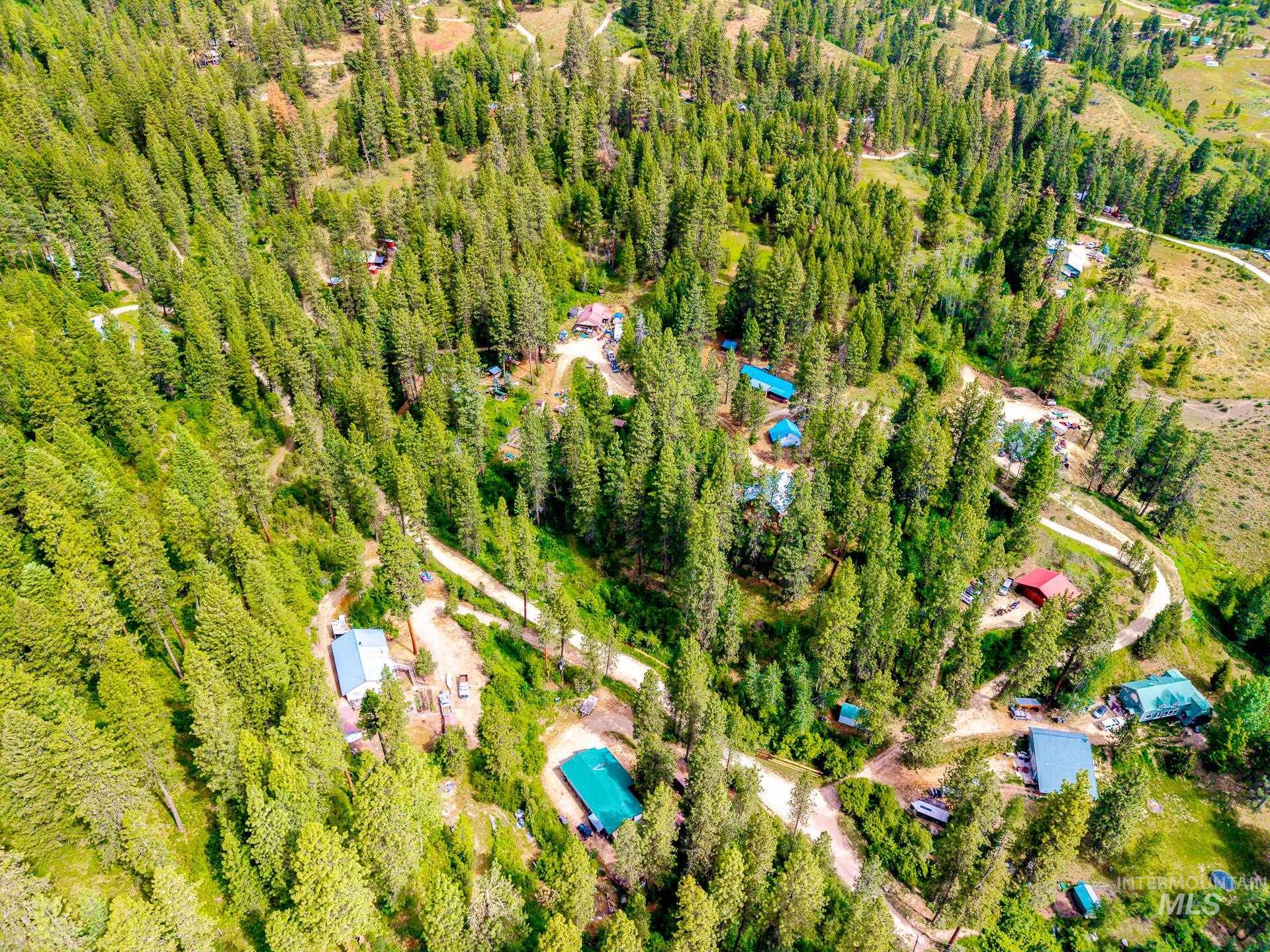 Expansive wooded landscape featuring evergreen trees and multiple structures with colored roofs