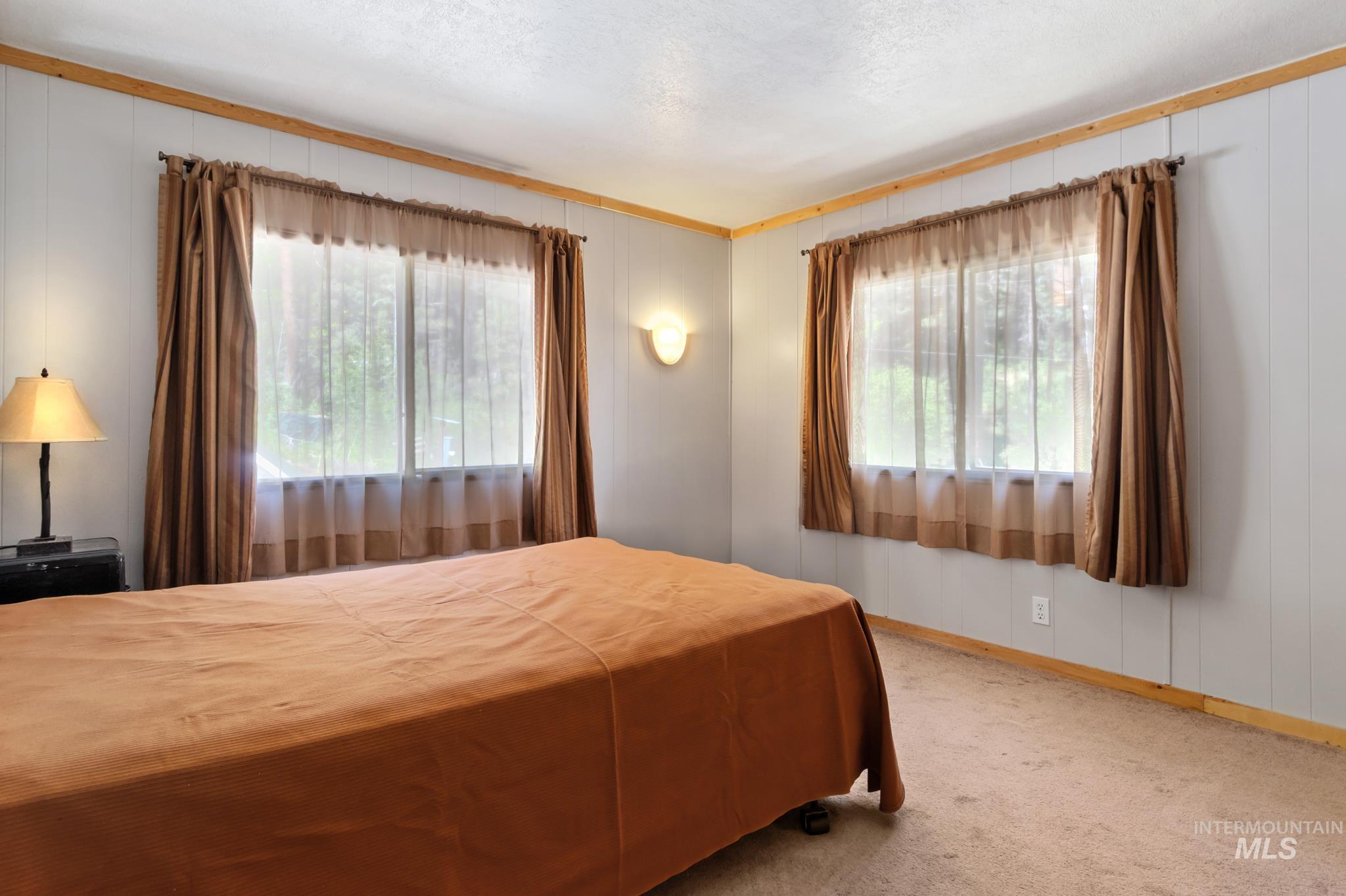 Interior room featuring two large windows with sheer and opaque drapery, wall paneling, and carpet flooring