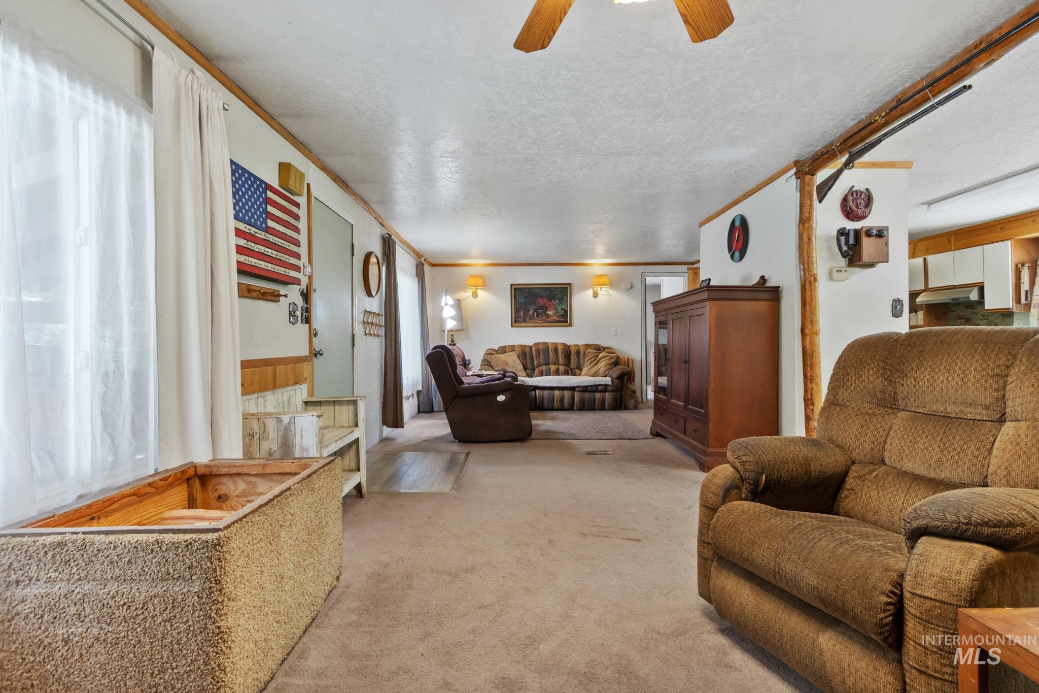 Open-concept living space with carpet flooring and wood-finish trim