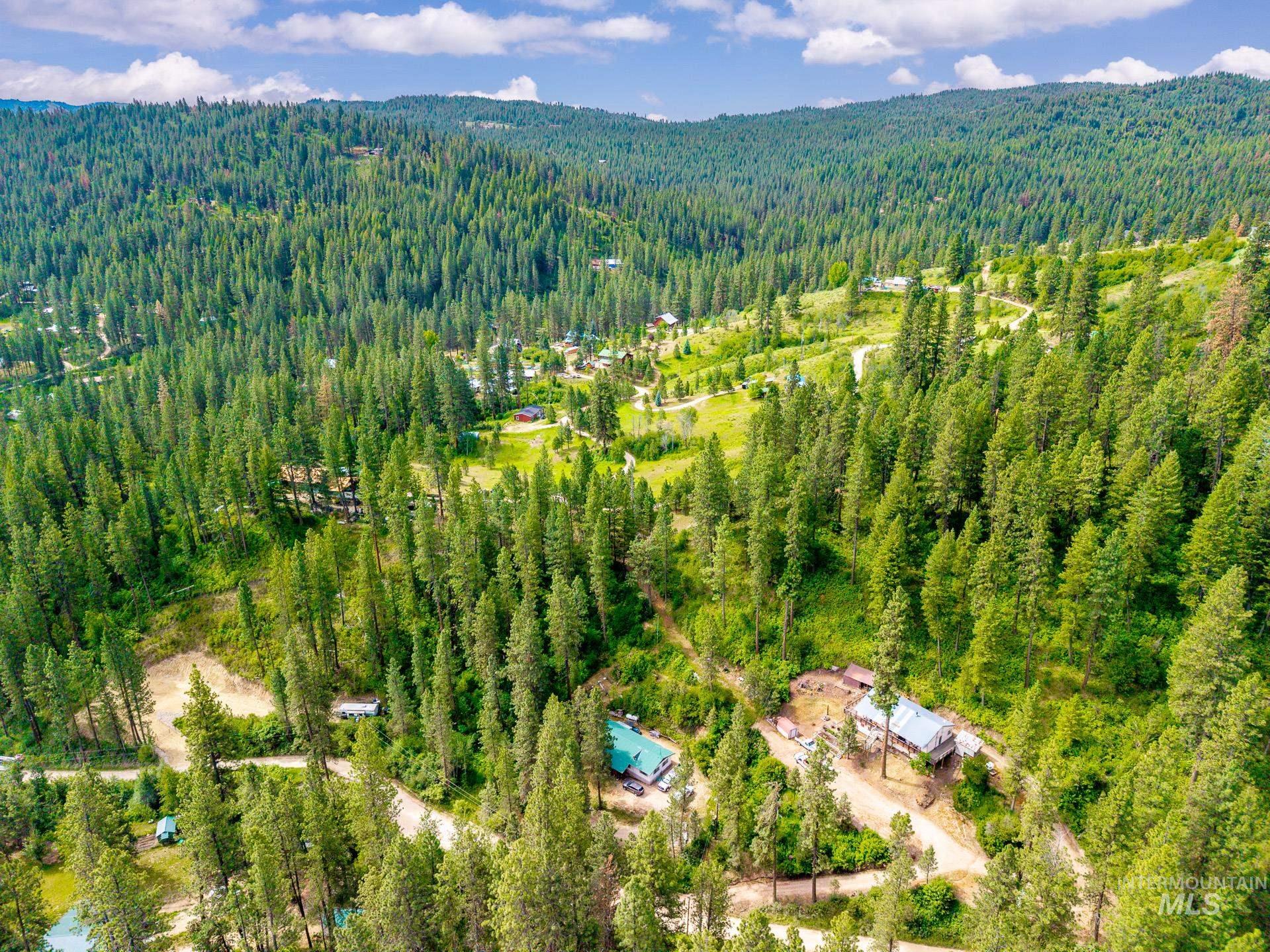 Expansive hillside property featuring mature evergreen trees and a secluded setting