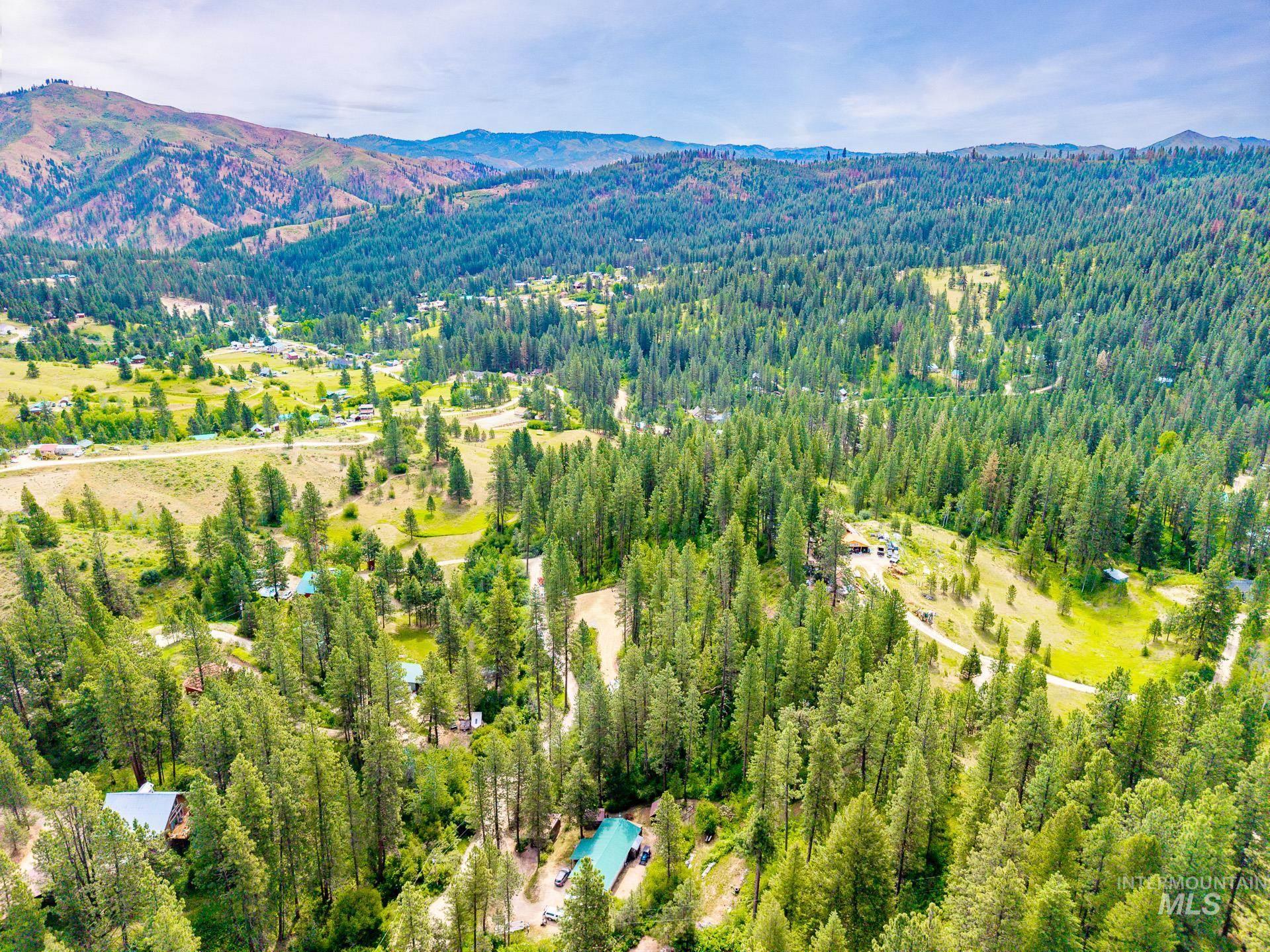 Expansive wooded property featuring mature conifer trees and mountainous terrain