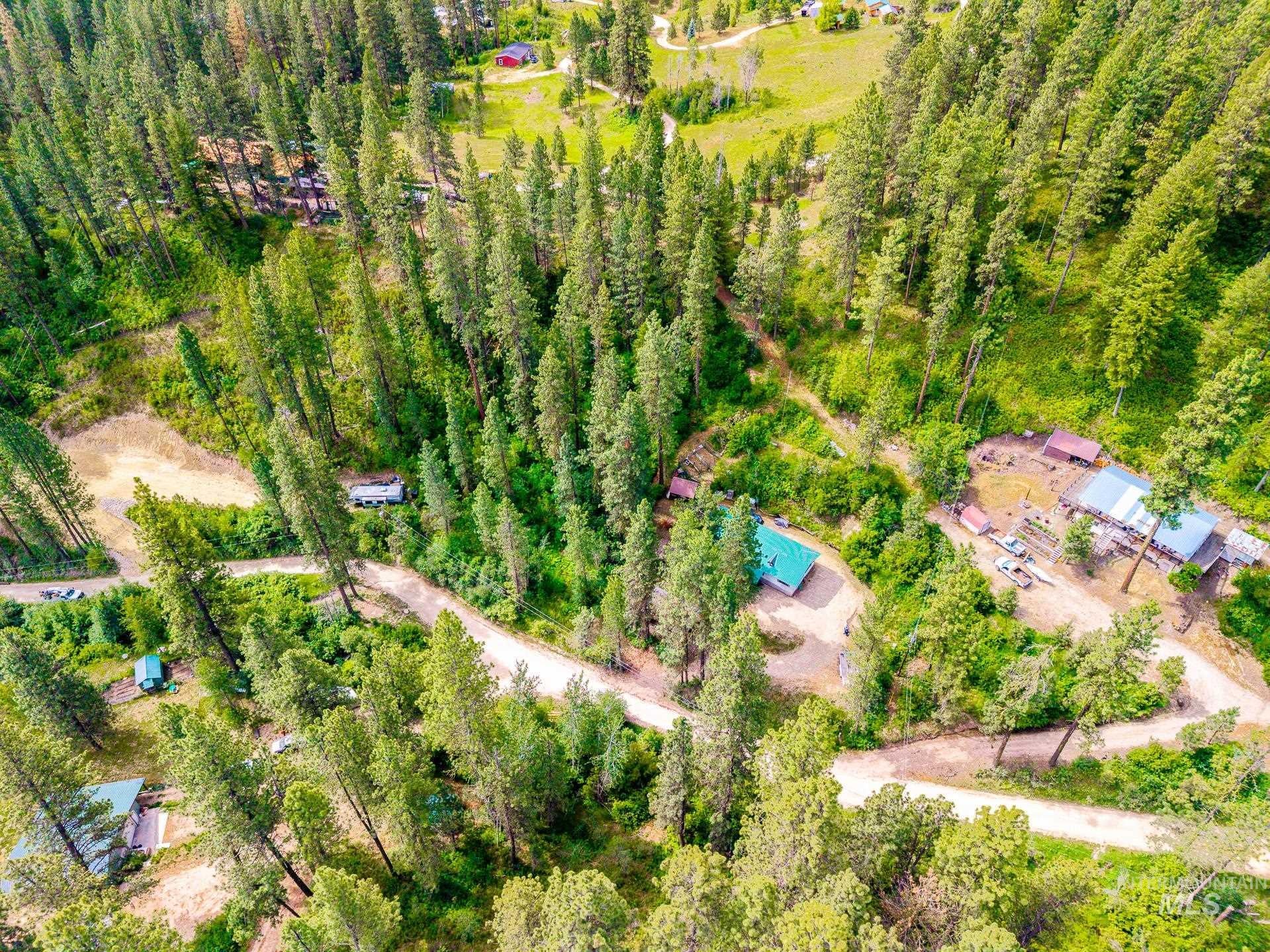 Extensive forested landscape featuring multiple structures, dirt roads, and open clearings