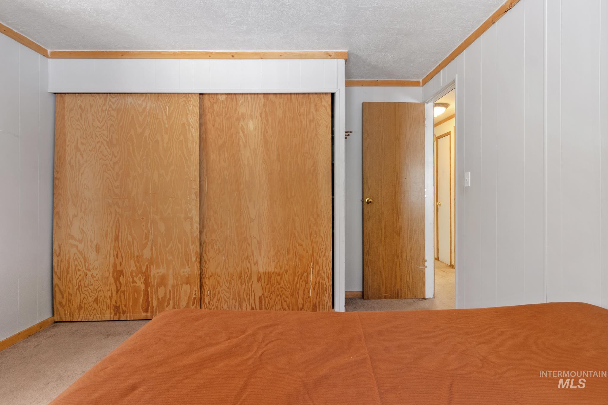 Built-in wardrobe with natural wood-finish sliding doors, white trim, and light-colored carpeting