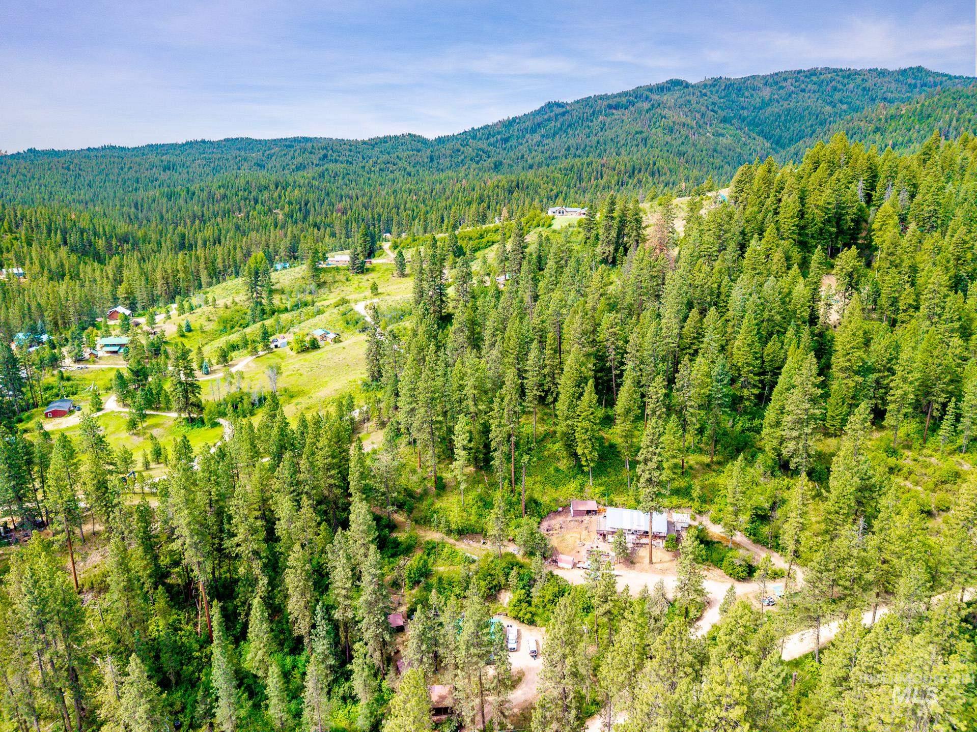 Wooded hillside property featuring a main structure and surrounding outbuildings amidst a vast forested landscape