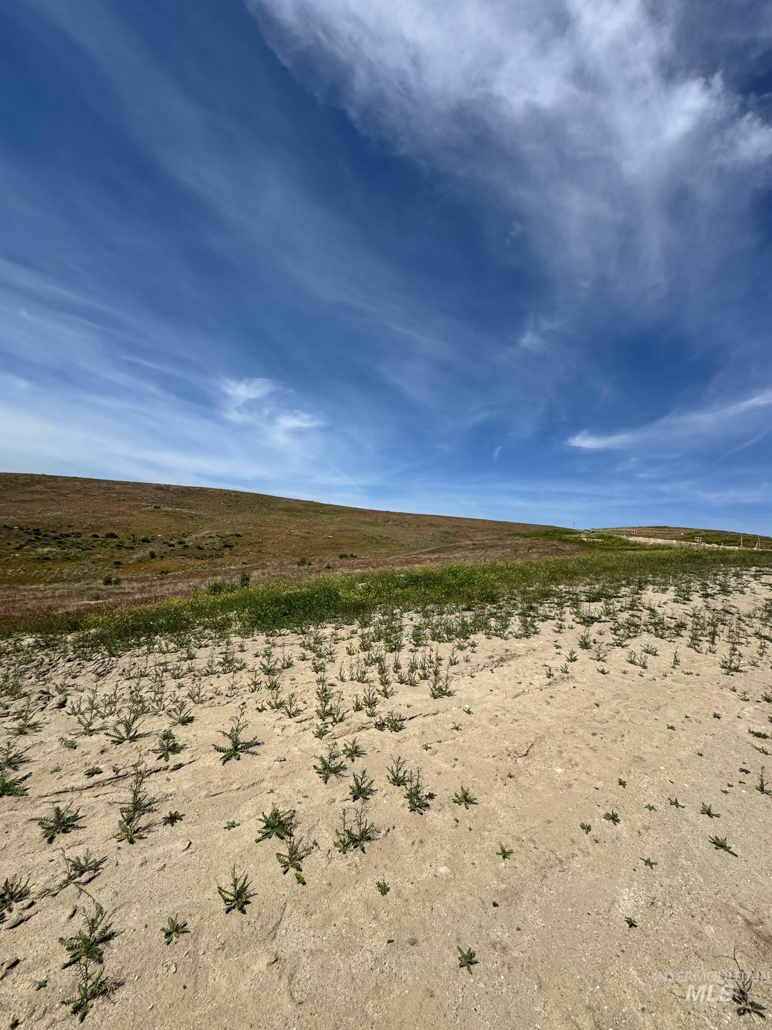 7239 N Cairnhill Way