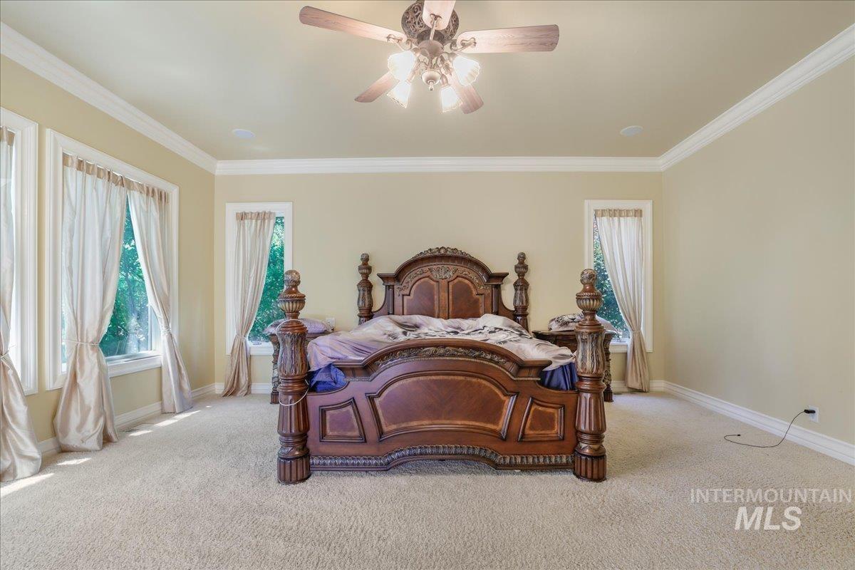 Bedroom featuring light colored carpet, multiple windows, crown molding, and a ceiling fan