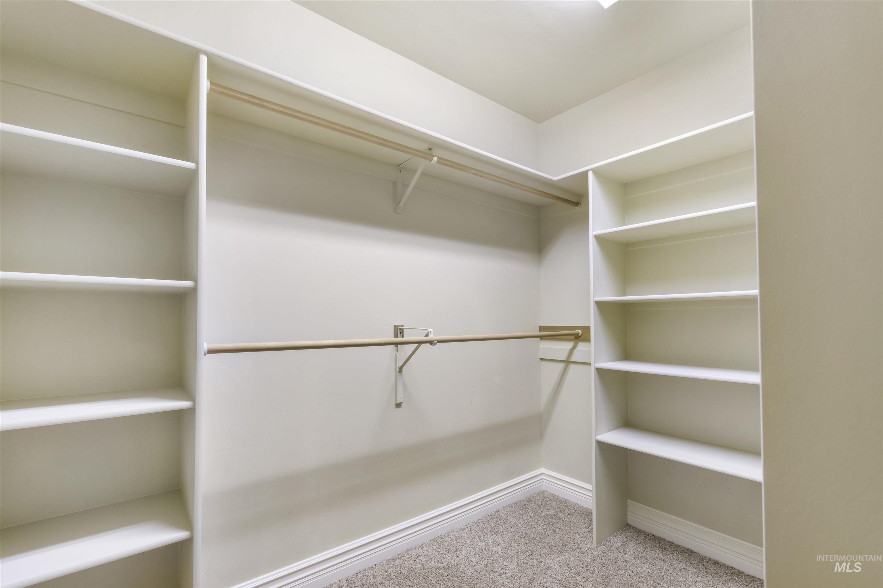 Walk in closet with carpet