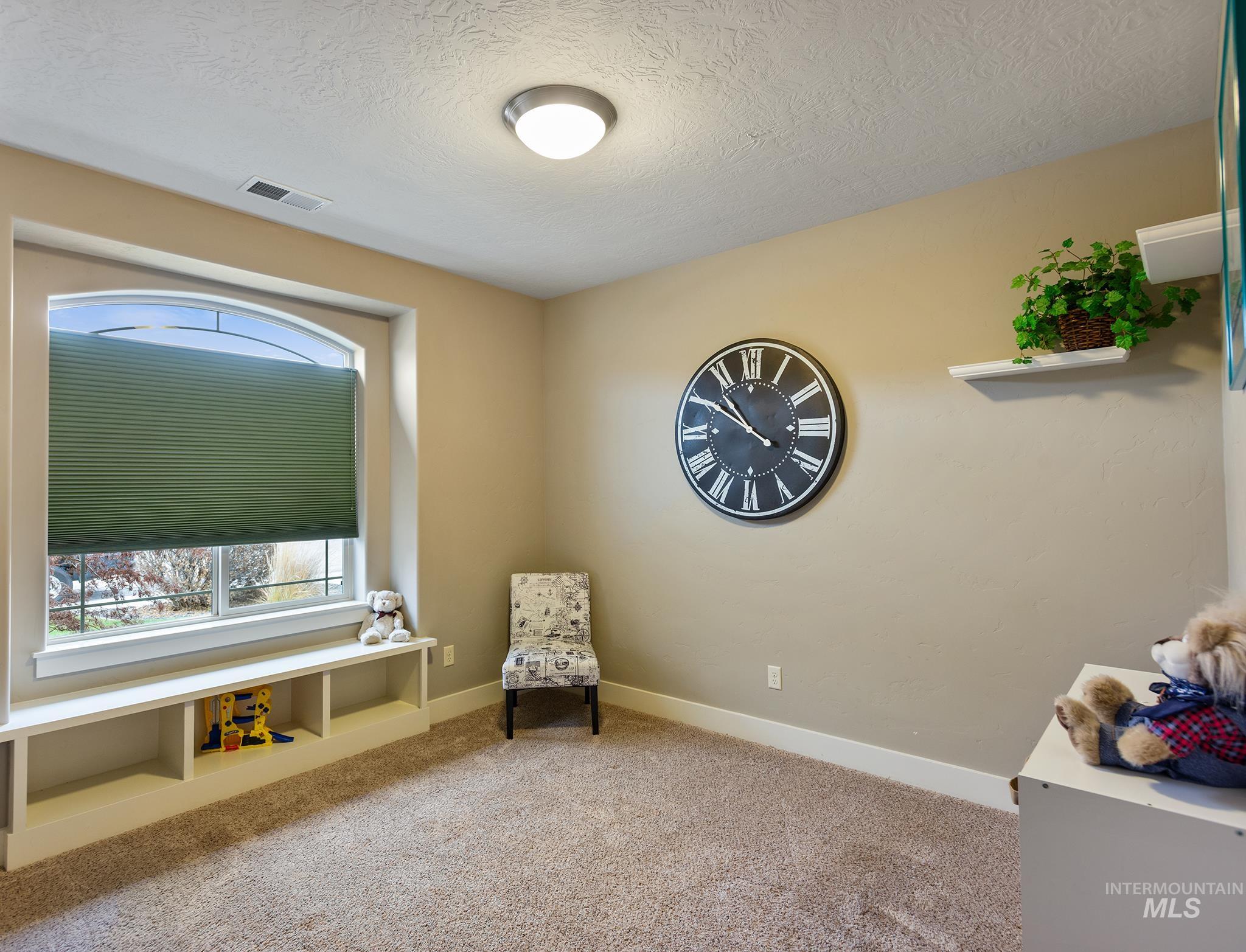 Living area featuring a textured ceiling and carpet floors