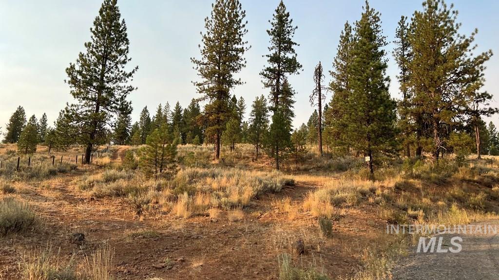 TBD Tamarack View Dr