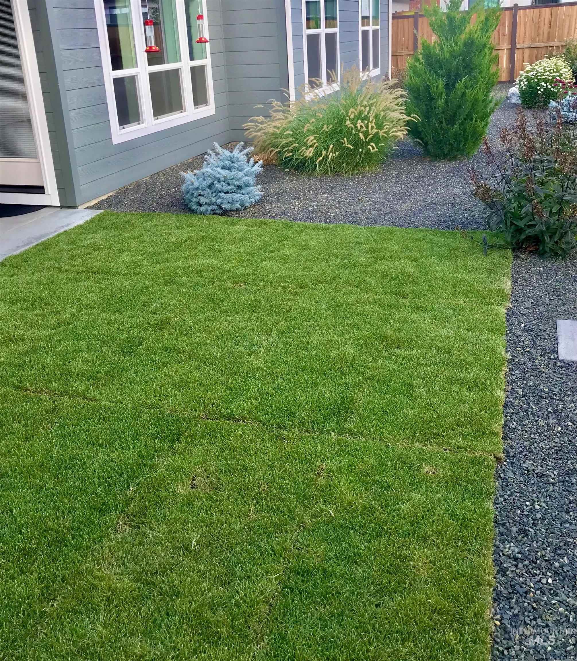 Freshly laid lawn bordered by dark gravel hardscaping