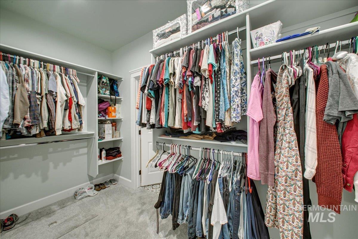 Spacious closet featuring light carpet