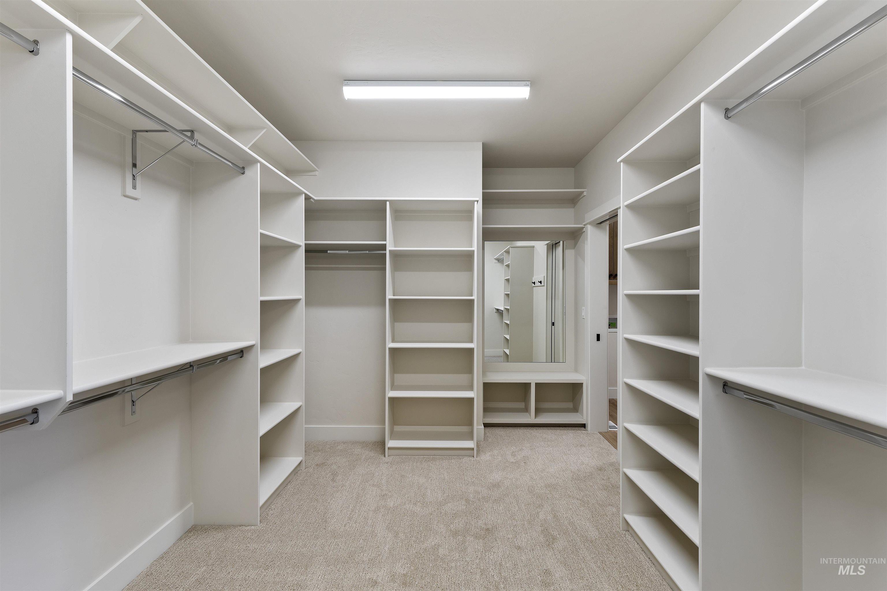 Walk in closet with light colored carpet