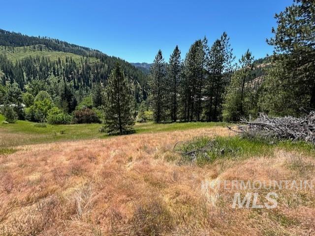 609 Adams Rd #`, Orofino, Idaho image 11