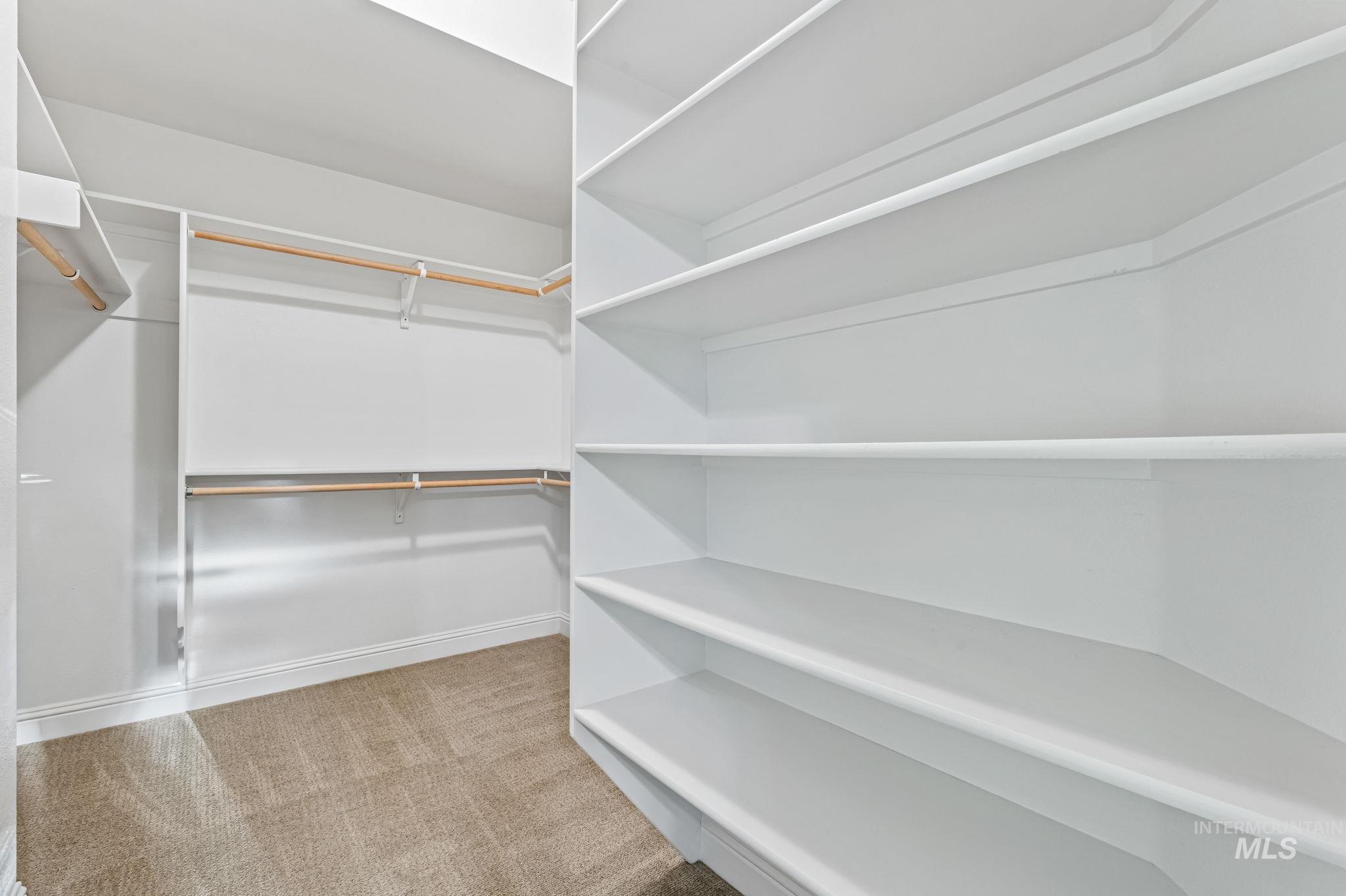 Spacious closet featuring light carpet