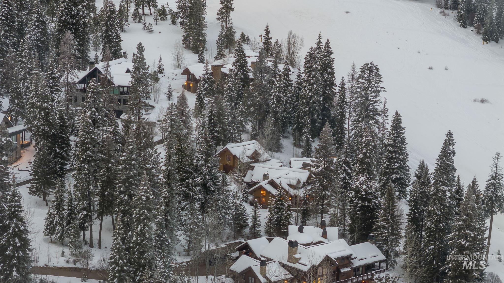Snowy aerial view with view of scattered trees
