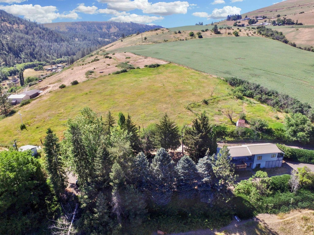 Photo of 1013 American Ridge Road, Kendrick, ID 83537 (MLS # 98995830)