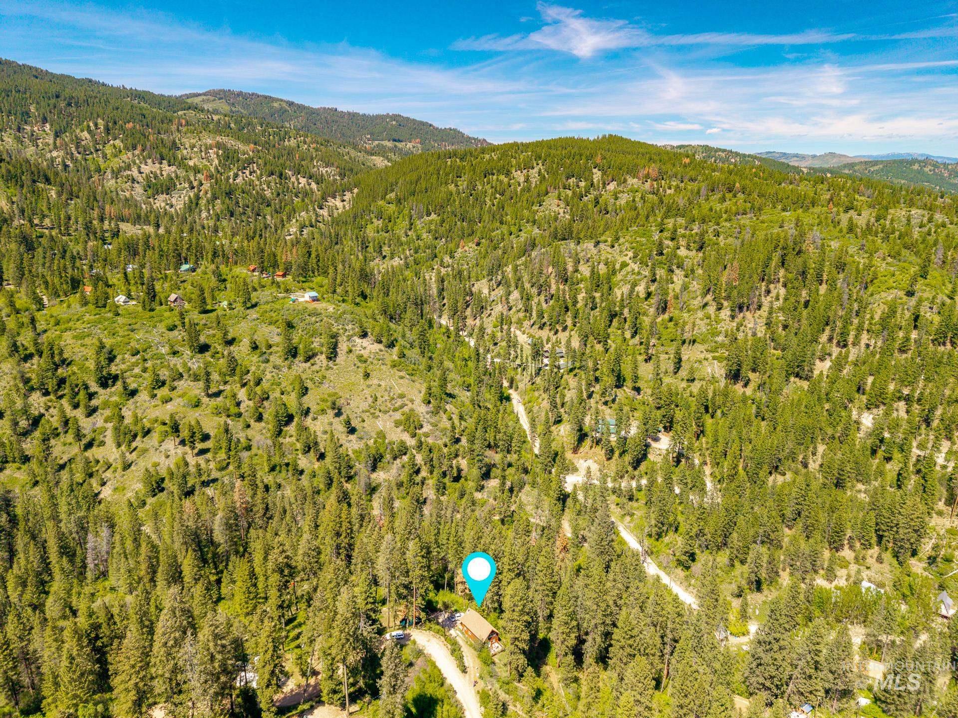 Mountainous terrain with dense evergreen forests under a bright blue sky