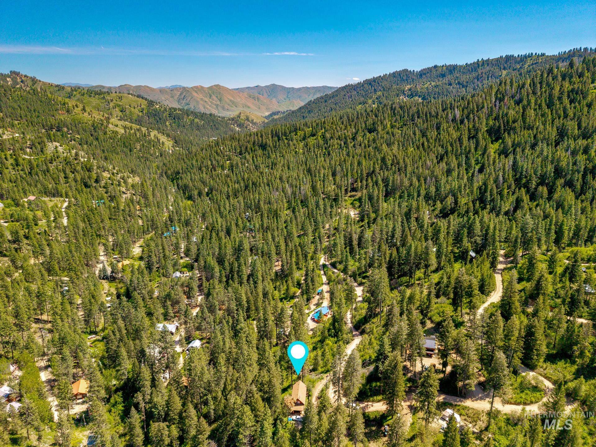 Lush forested mountain terrain with numerous tall pine trees and distant mountain ranges