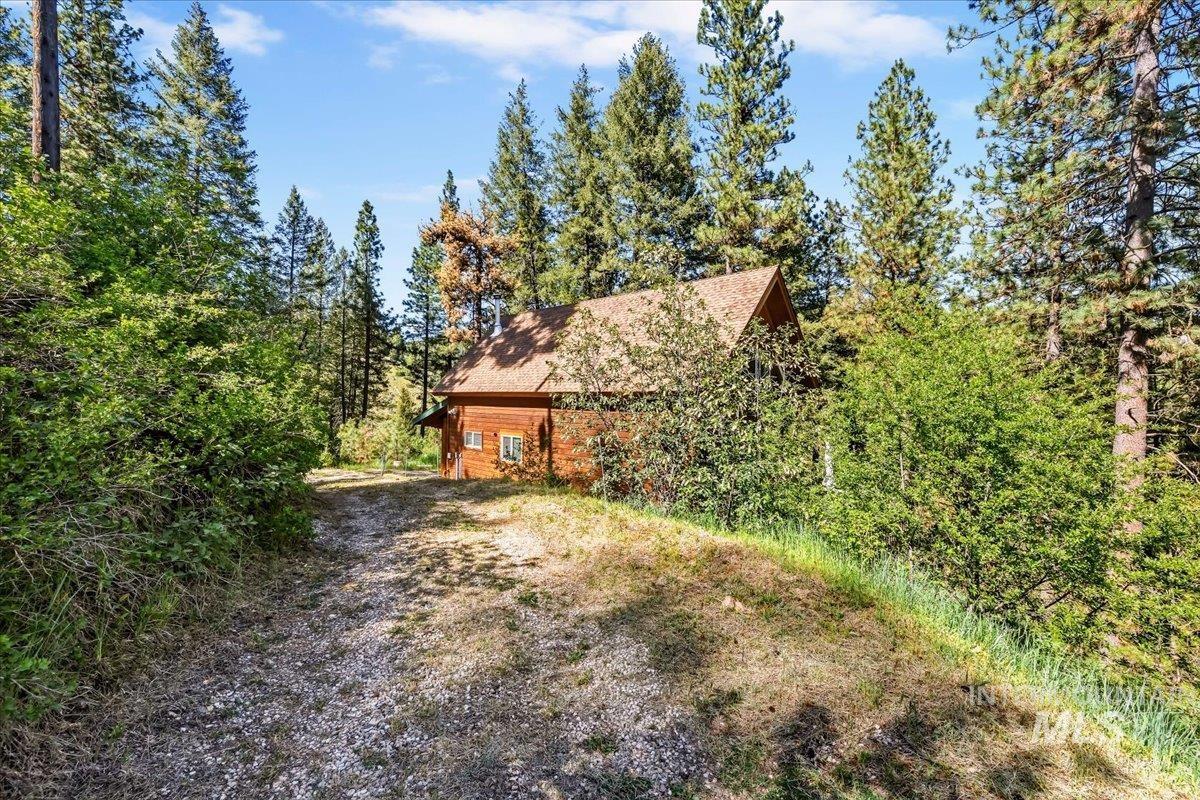 Wood-sided cabin featuring a brown shingle roof, surrounded by mature trees and lush green shrubs