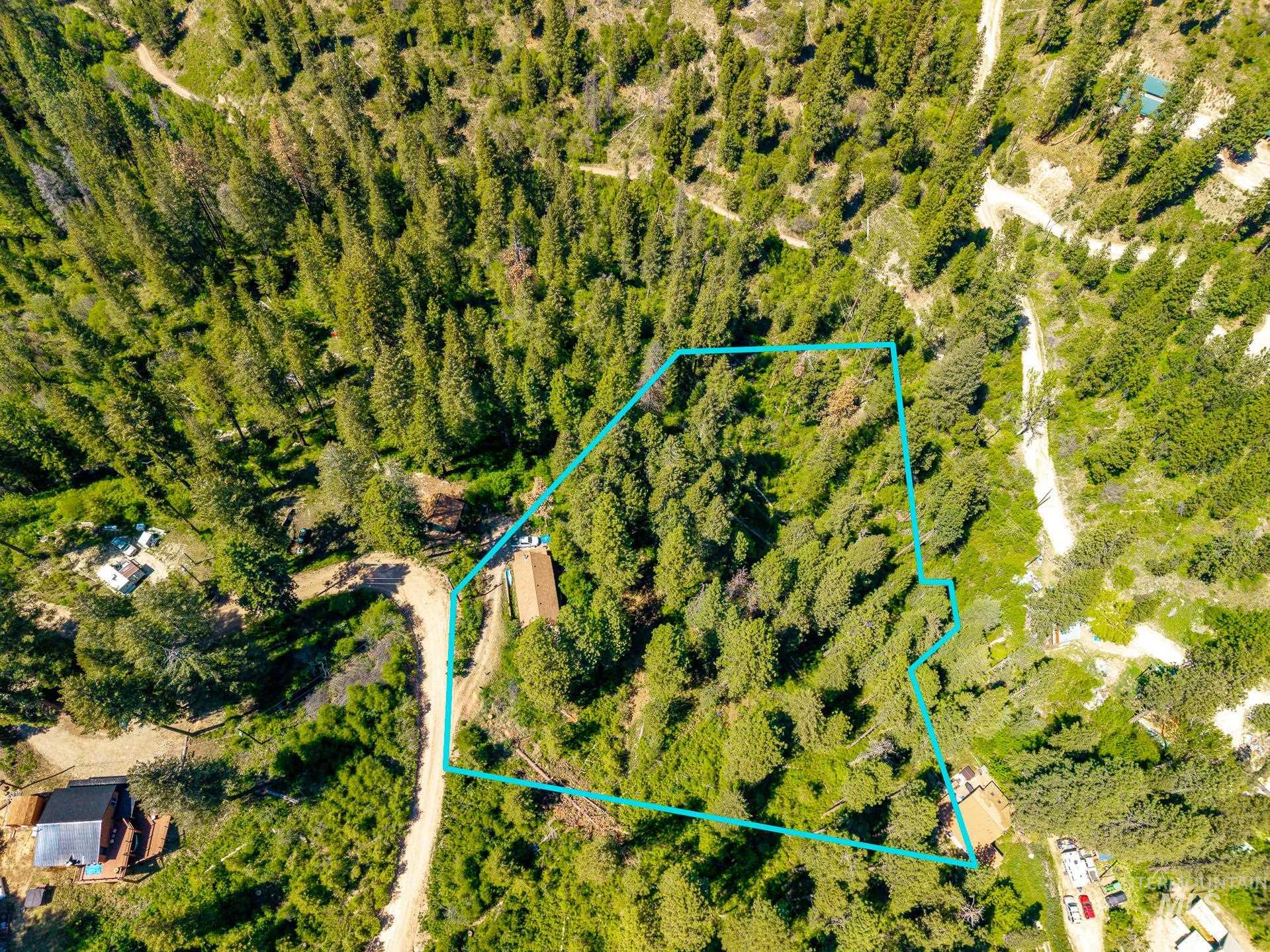 Wooded property outlined by a light blue border